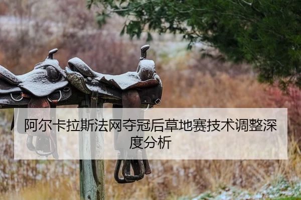 a-er-ka-la-si-fa-wang-duo-guan-hou-cao-di-sai-ji-shu-tiao-zheng-shen-du-fen-xi-2-138.jpg